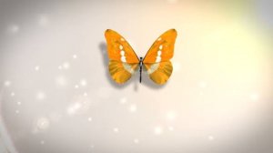 Интро: Butterfly Logo от Perfect Montage Studio