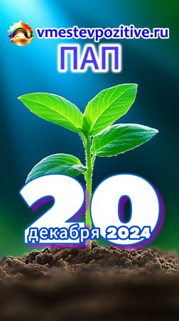 Позитивный астро-прогноз на 20.12.2024 #Принимайте и утверждайте!