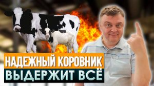 СТРОИТЕЛЬСТВО КОРОВНИКА: из чего строить? | Сельскохозяйственный комплекс с отличным МИКРОКЛИМАТОМ