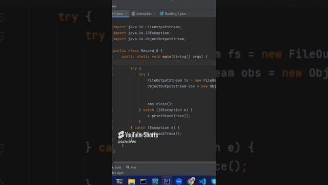 Java serializable 2 #coding #programming #java #обучение #программирование #javaprogramming #code