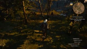 Ведьмак 3: Дикая охота. Прохождение. Велен (часть 9)