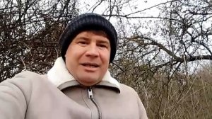 Какое никакое образование.