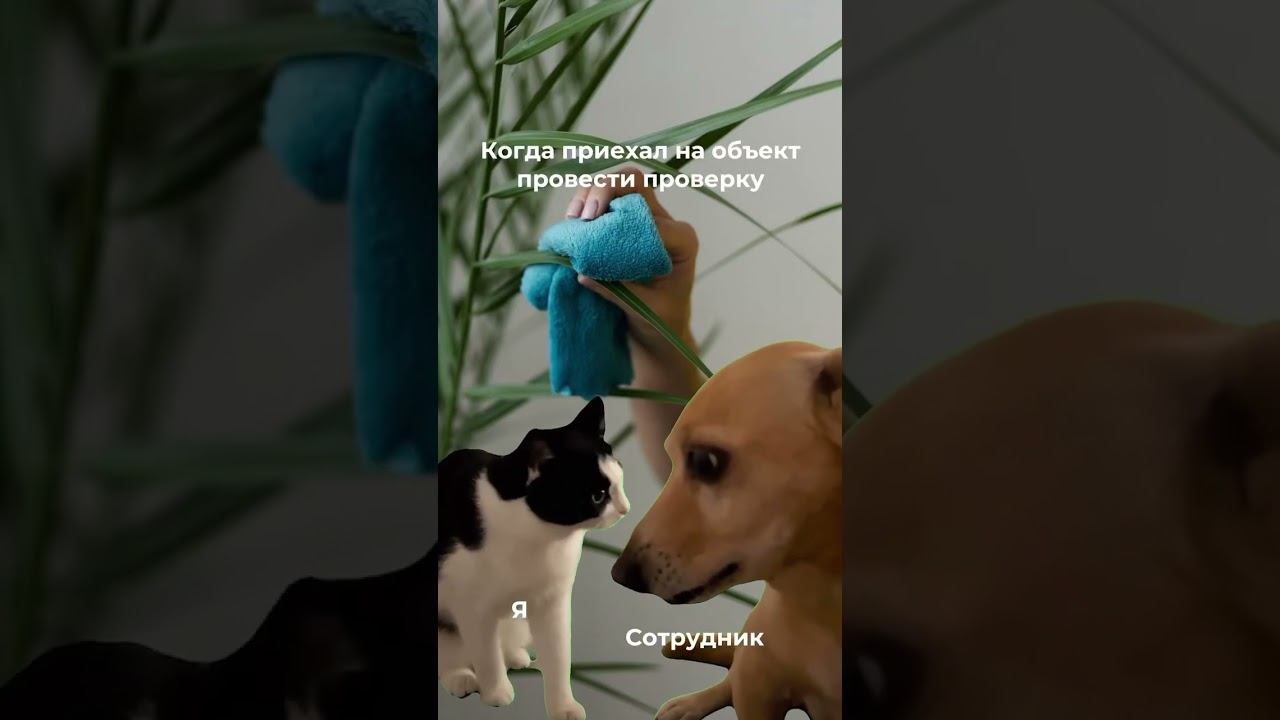Будни руководителя  #юмор #бизнес #shortsvideo #мем #прикол #клининг