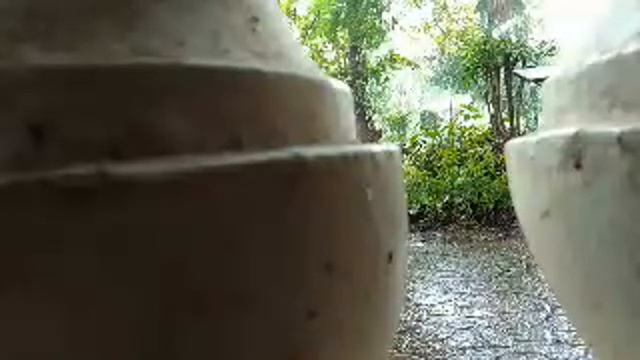 Гоа. Индия. Панджим. Под дождем. Прогулка и посиделки в кафе. 21 сентября 2023 год. смотреть онлайн