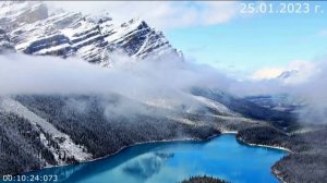 592.1. Эпицентр обнуления 25.01.2023 г