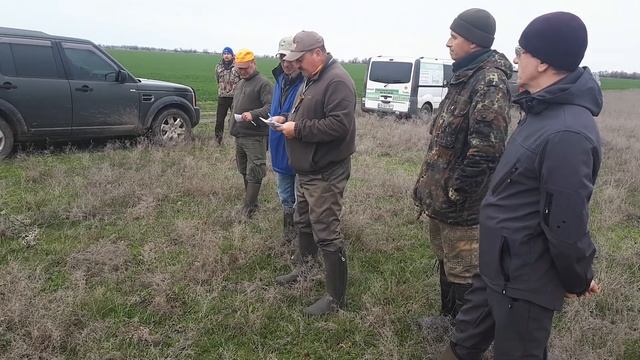 CACT островных легавых, Приморск, апрель 2021 смотреть онлайн