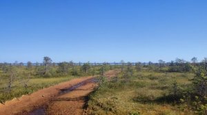 2023 год Август. Большой Кумикуш. 34