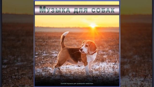 Успокаивающая музыка