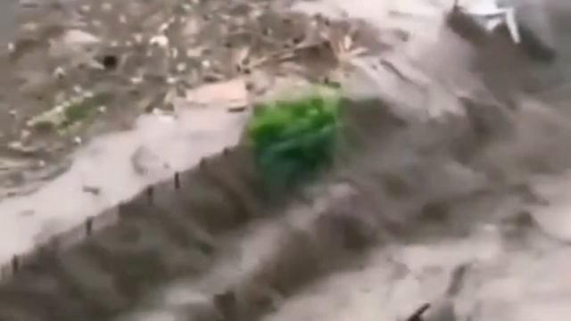 БОЗКУРТ. ТУРЦИЯ❤️🇹🇷2021Г. смотреть онлайн