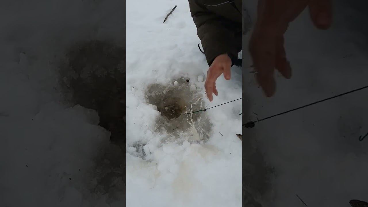 щука, поймана в тот же день что и в прошлом видео, всего было 3 щуки поэтому выйдет 3 видоса смотреть онлайн