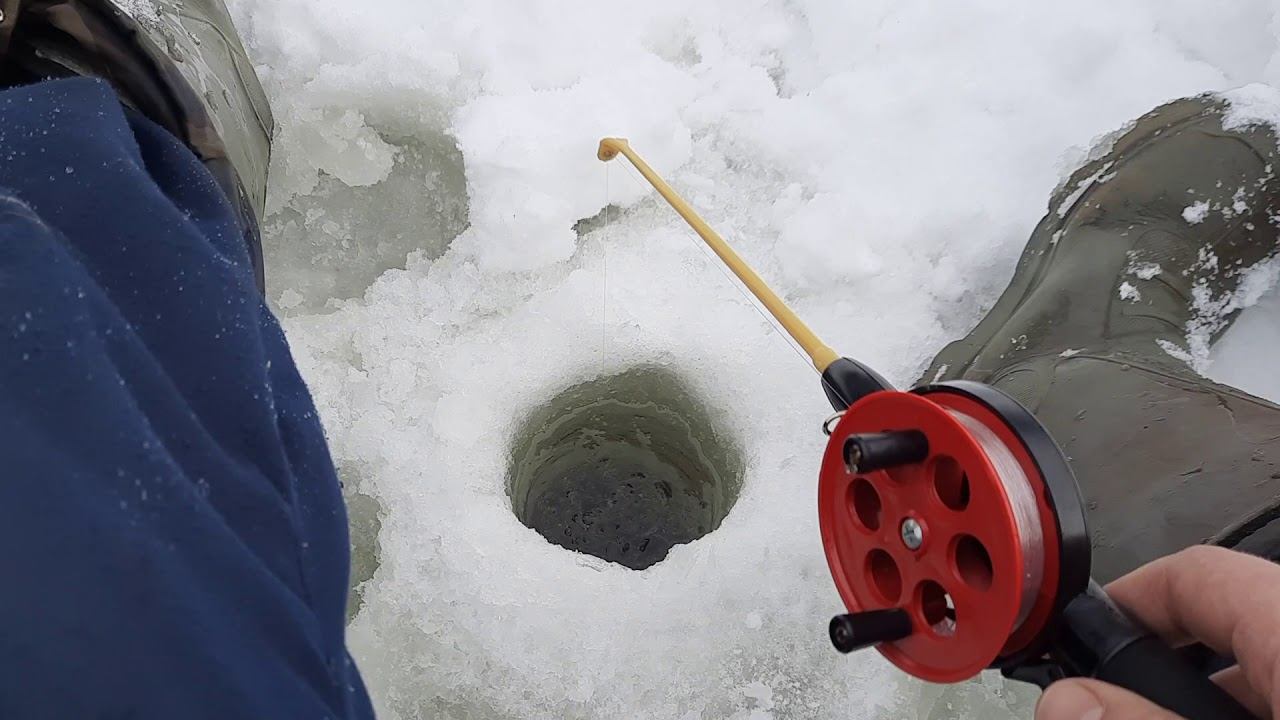 В первый раз еду на мотосабаке. сильно не смеяться смотреть онлайн