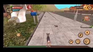 Как сделать клонов в DogSim.