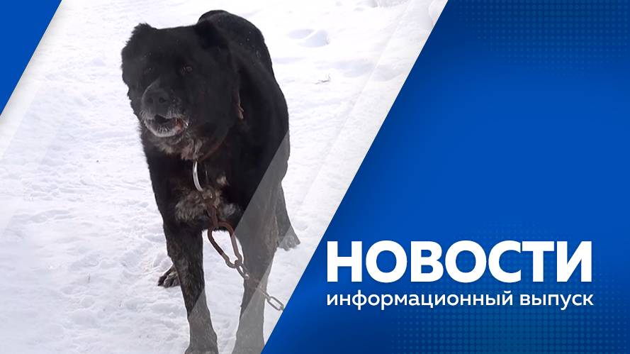 Новости 04.12.2024г