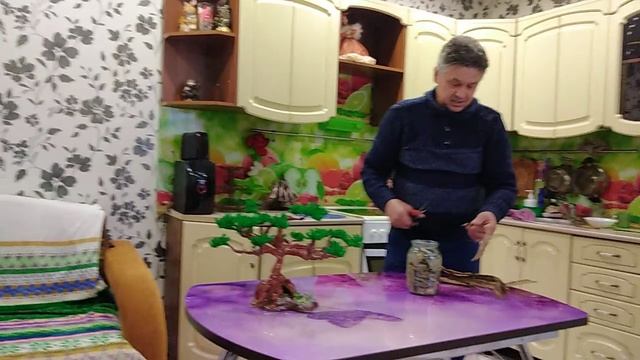 Кора осины смотреть онлайн