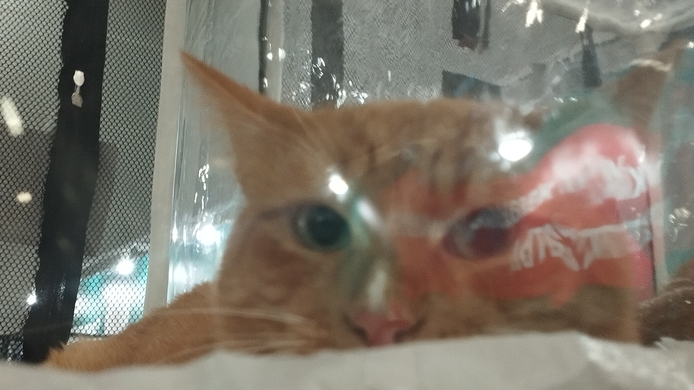 сладкие булочки❤❤❤❤