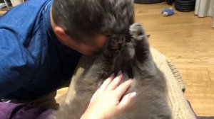 Британка из тик тока . Зажамкал