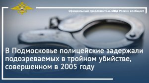 В Подмосковье полицейские задержали подозреваемых в тройном убийстве, совершенном в 2005 году