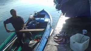 Как рыбак отбивает осьминога