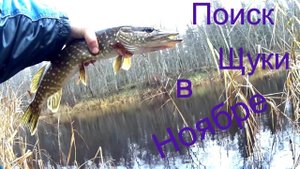 Ловля Щуки в Ноябре и неожиданная распаковка посылки...