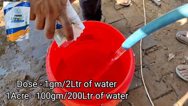 How to increase fruit quality colour and size | chelated calcium | boron 20 | mancozeb 75 wp