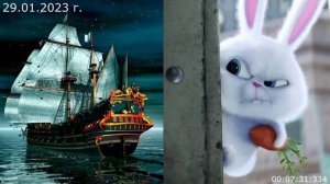 601.1. О зайце 29.01.2023 г.