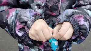 челендж по цветам