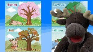 Seasons _ Talking Flashcards - Maple Leaf Learning