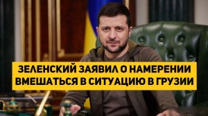 Зеленский заявил о намерении вмешаться в ситуацию в Грузии