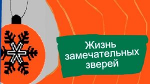 кусок анонса Жизнь замечательных зверей (Карусель 01.2013)