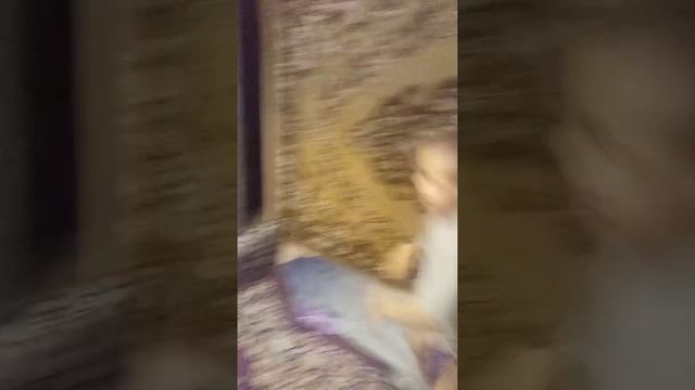 Денис тиктокер пожалуйста если понравилась видео подпишитесь чтобы красная кнопка была серый смотреть онлайн