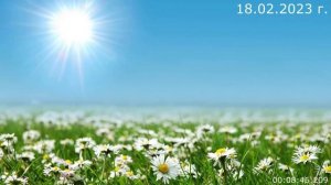 619.1. Поляна 18.02.2023 г.