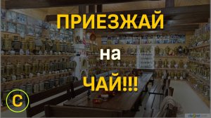 Ставропольский край. Музей русского самовара и музей старинного утюга!!