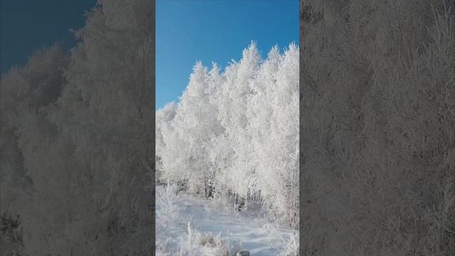 С годами планка женских мечтаний неуклонно понижается.
Сначала ждут принца на белом коне...