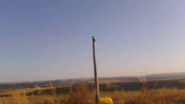 4870-ALL INDIA RADIO смотреть онлайн