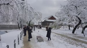 A Day in Gyeongbokgung Palace that has Become a White Kingdom | Seoul Winter Snow