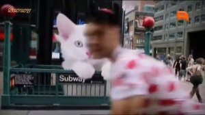 Реклама Revo Energy/Рево Энерджи (QTV, октябрь 2016)