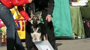 MVI_3584.AVI Сабрина