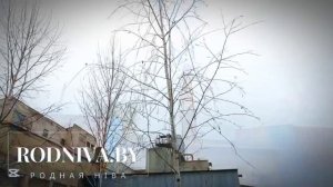 ✅В цеху производства извести и мела ОАО «Белорусский цементный завод» в Климовичах сегодня трудятся