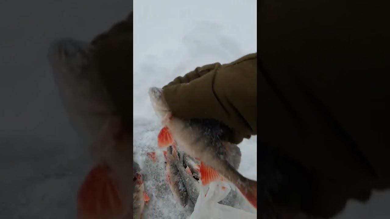 рыбалка, первые числа января смотреть онлайн