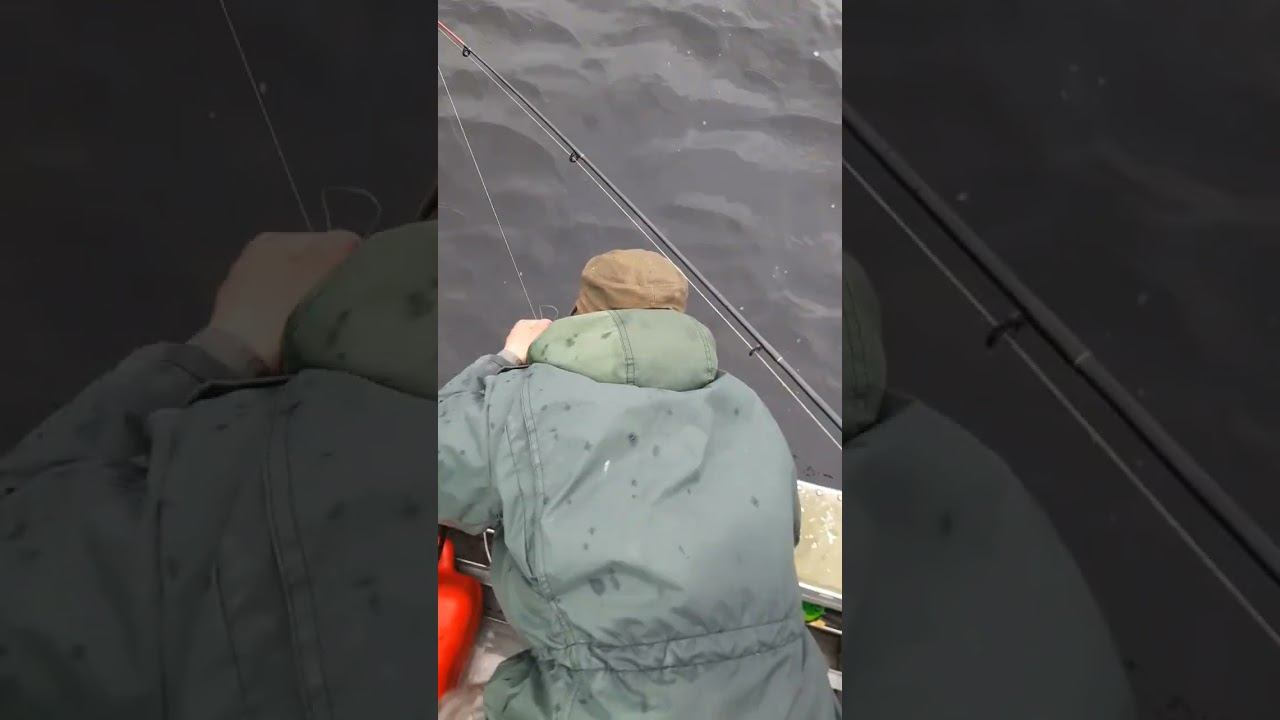 рыбалка троллингом дала свой результат, попалась крупная щука смотреть онлайн