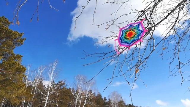 Прогулка в городской бор.  09.03.2021.