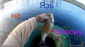 Язь на блесну.