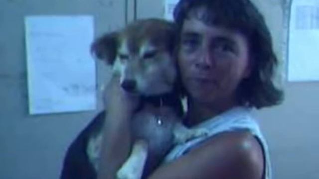 ...per fortuna....tempi passati..... смотреть онлайн