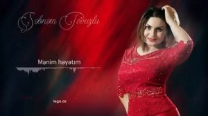 -6600313672401462539