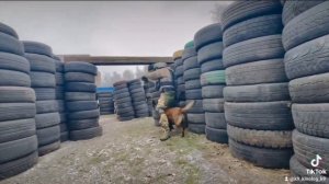 Штурмовая собак К9