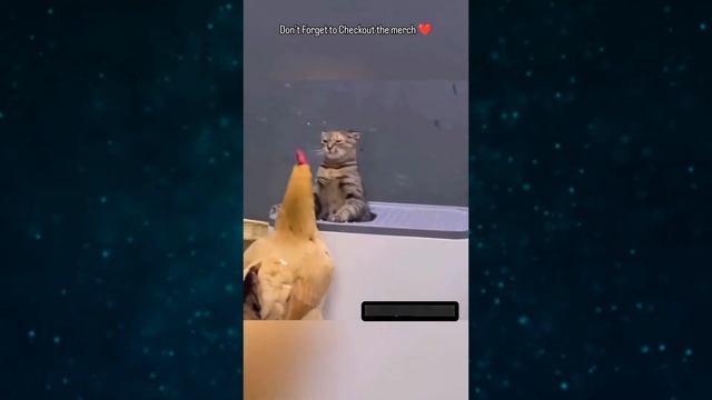 ПРИКОЛЫ 2024 - Я РЖАЛ ДО СЛЕЗ😂 30 Минут ОТБОРНЫХ ПРИКОЛОВ 2024 Смешные видео - Лучшие ПРИКОЛЫ