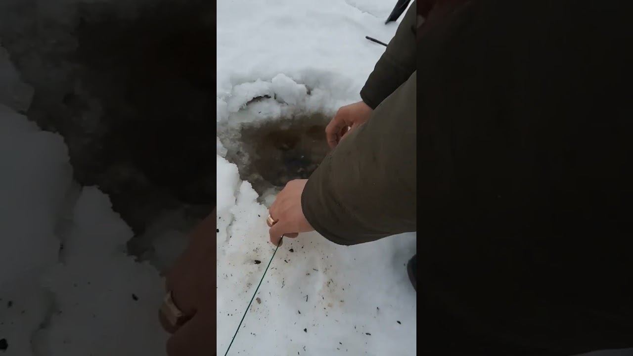 щуку тянем в том году, было интерестно! смотреть онлайн