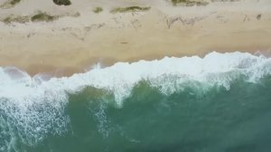 Этого вы точно не знали! Почему в Америке по всему побережью Тихого океана,не купаются люди?