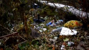 Социальная экологическая реклама