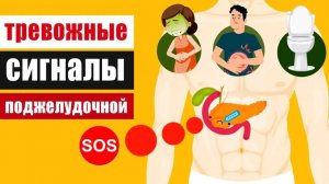 Сигналы SOS от поджелудочной железы или первые признаки панкреатита